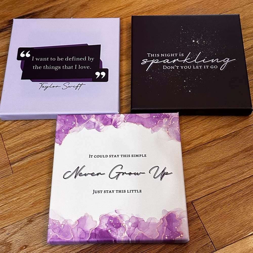 Taylor Swift Speak Now TV Themed Canvases